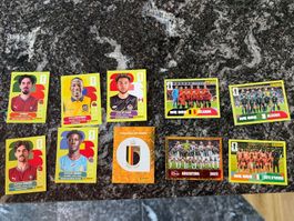 FiFA WM 2026 Panini