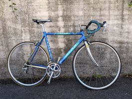 Rennrad ALAN
