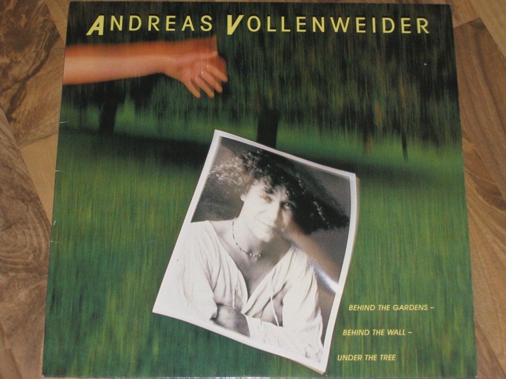 Dischi in vinile: LP - ANDREAS VOLLENWEIDER - BEHIND THE GARDENS – Usato da Steckborn venduto da Quo7
