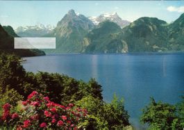AK Vierwaldstättersee mit Gitschen und Urirotstock
