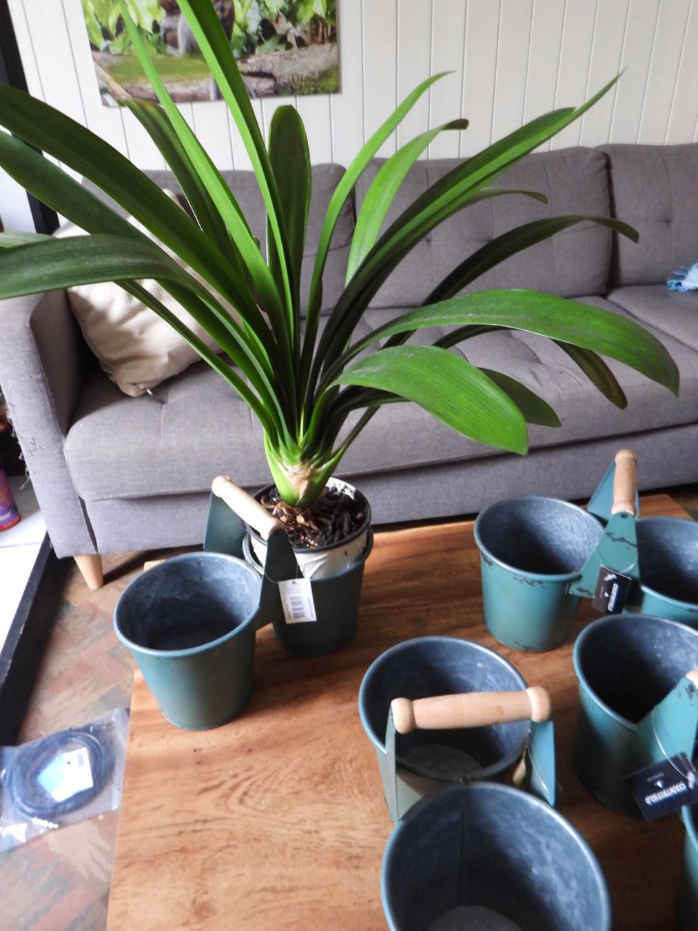 Pots de fleurs: Kleine Deko Töpfe aus Blech 4st – Neuf (Voir description) à Tavannes par jimananas