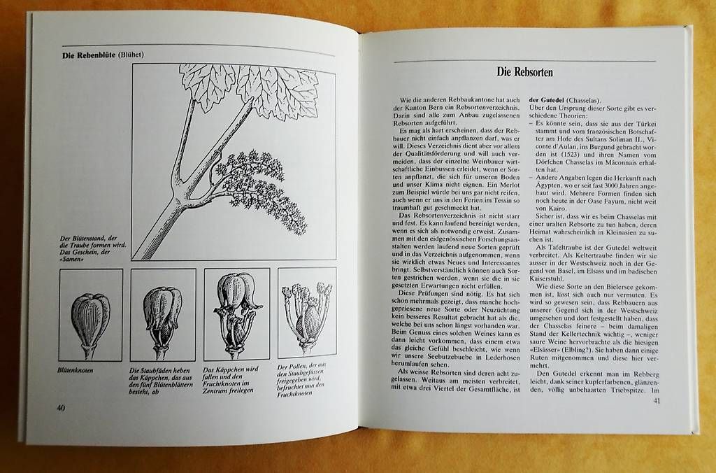 Bücher: Berner Weinbüchlein – Gebraucht aus Bern von janosh-08 3
