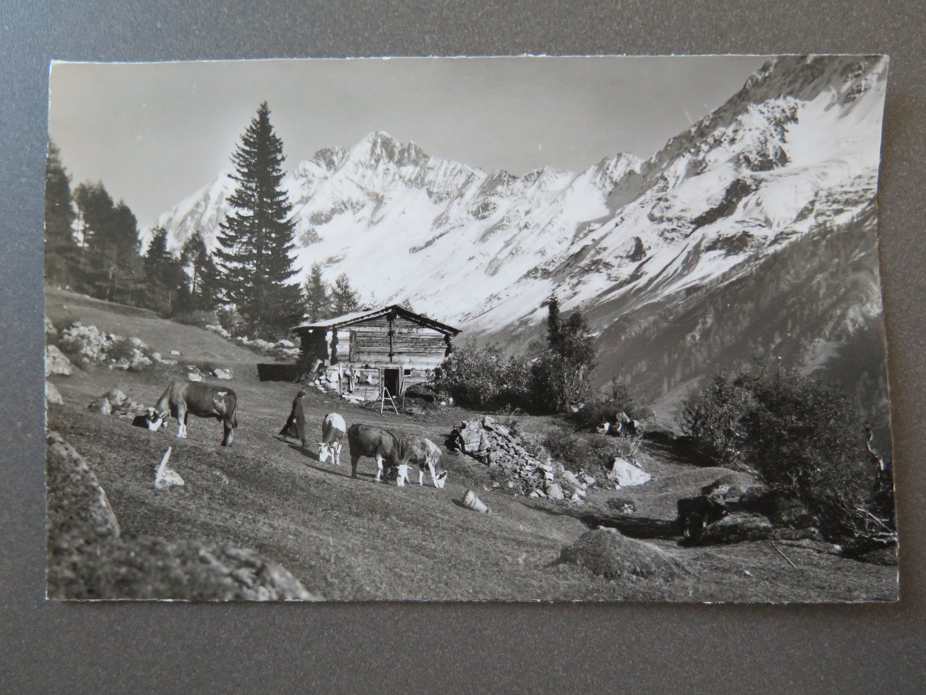 Cartoline postali: LÖTSCHENTAL - BEI WEISSENRIED – Usato da Wittenbach venduto da lipasal