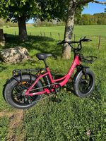 Engwe L20 E-Bike - Top Zustand!