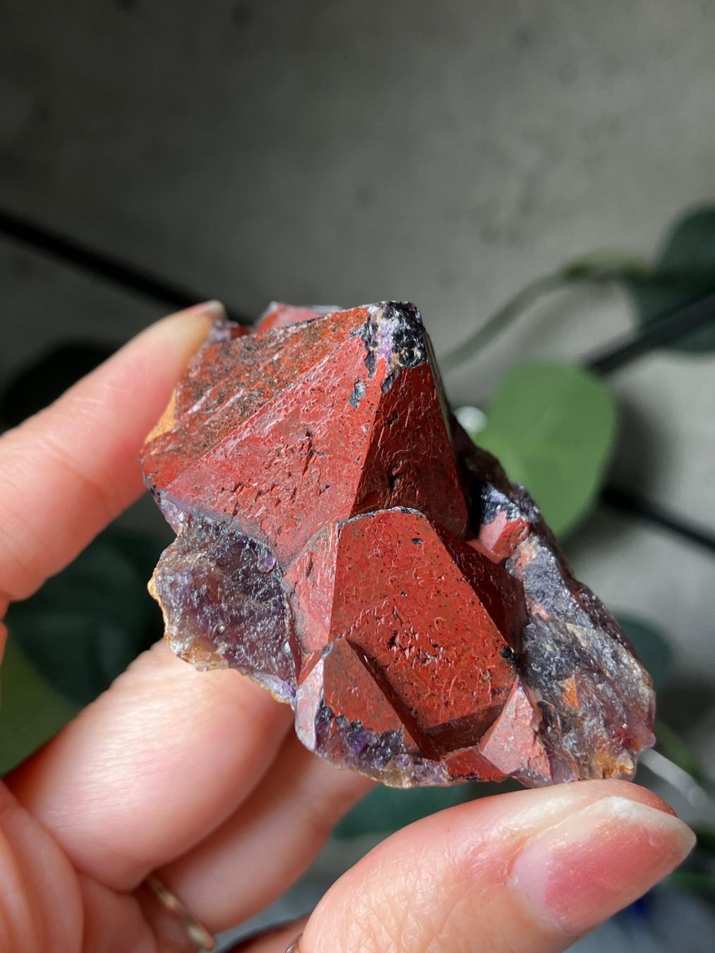 Pietre preziose: Thunder Bay Amethyst – Nuovo (secondo la descrizione) da Neuheim venduto da m.hald 1