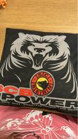 SC Bern Kissen - Jetzt für den Match bereit!