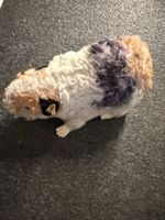 Stofftier Meerschweinchen Steiff klein Vintage guter Zustand