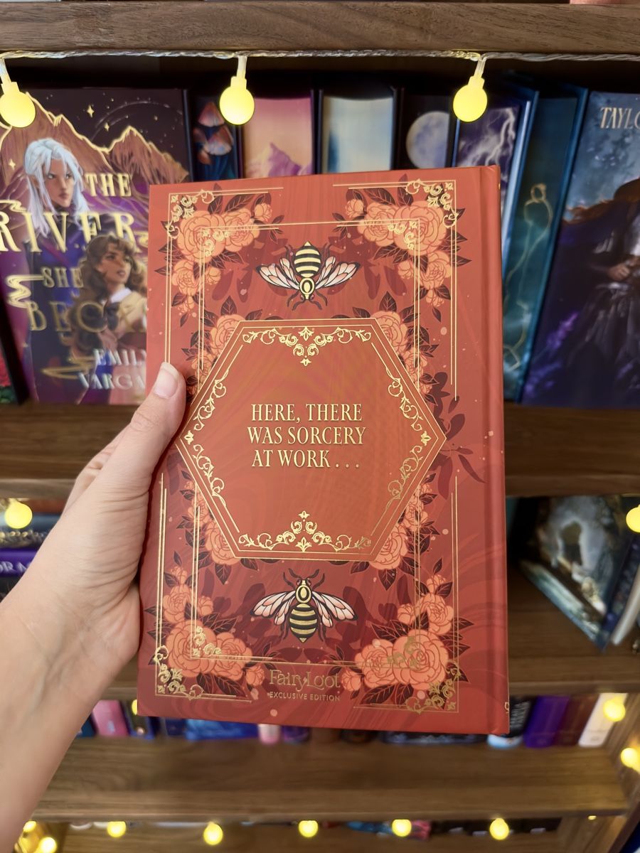 Bücher: FairyLoot Buch - Hawk & Sparrow – Neu (gemäss Beschreibung) aus Bern von moonlab 5