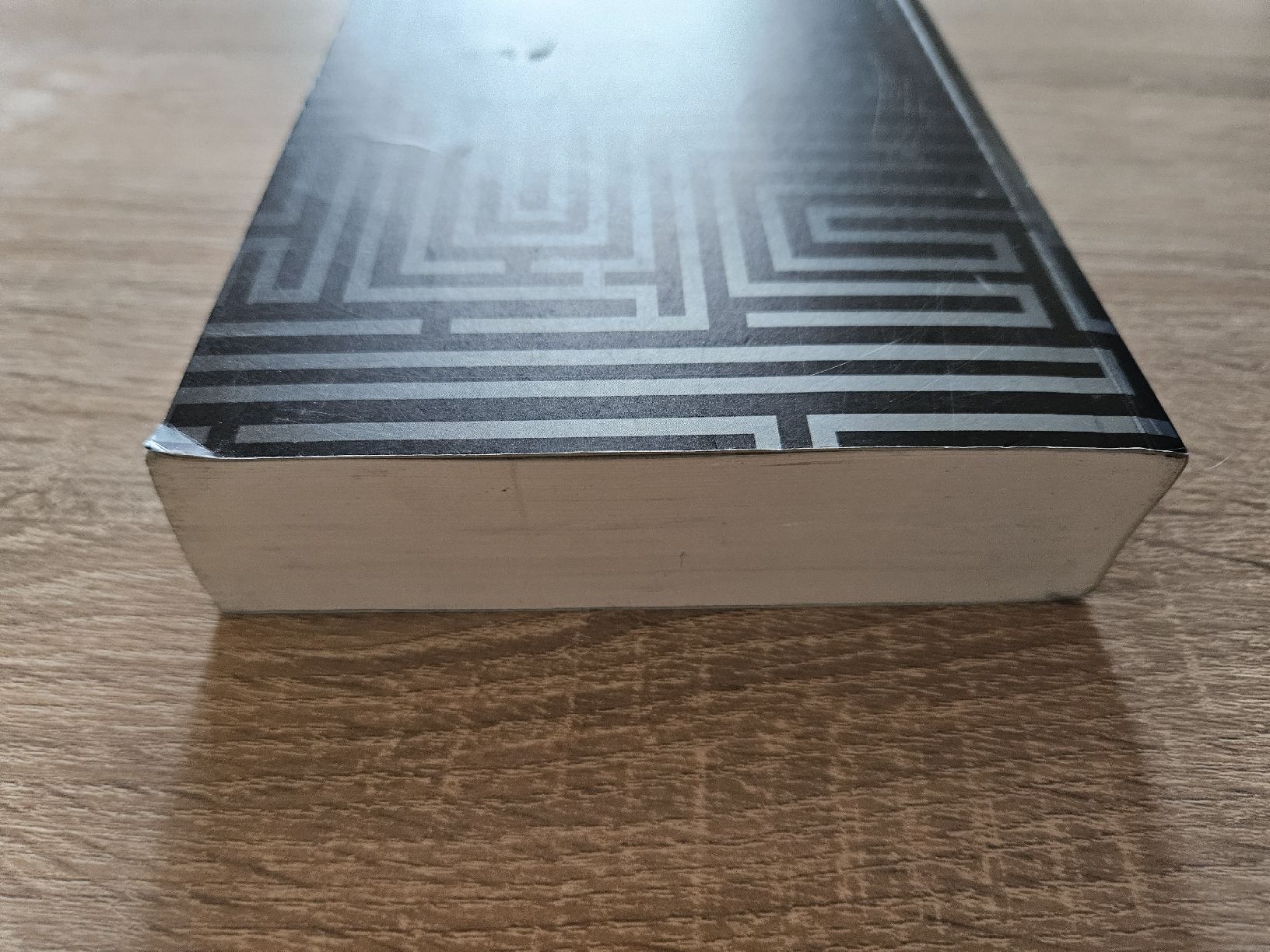Bücher: Die Auserwählten Im Labyrinth Maze Runner James Dashner Buch – Gebraucht aus Ebikon von SecondChance_byM 2