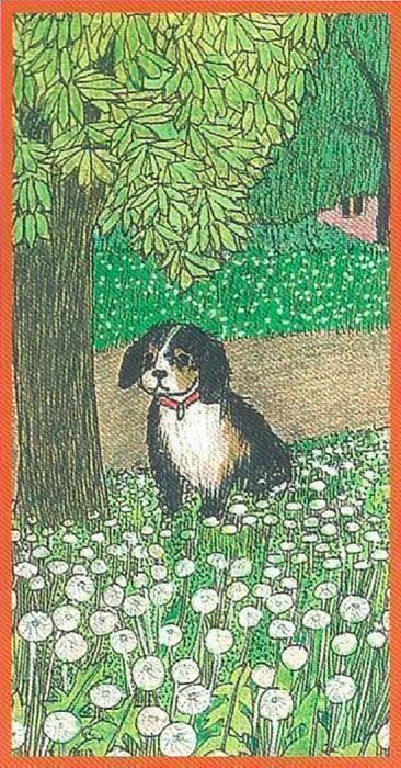Libri: Esther Leist, Wo bin ich? – Nuovo (secondo la descrizione) da Sarnen venduto da Livres 1
