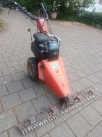 Balkenmäher Barbieri mit Honda GC160 Motor