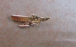 Goldfarbener Oldtimer-Flugzeug - Pin