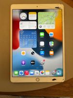 iPad Air 3