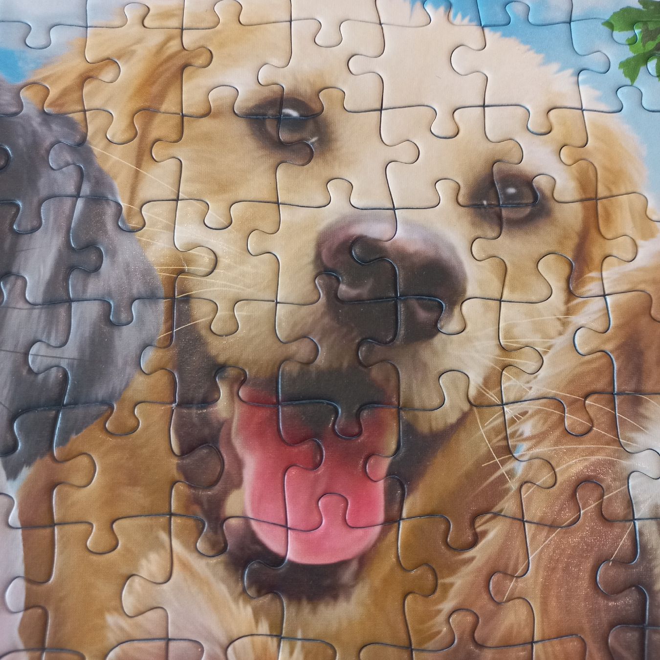Ravensburger Puzzles: Ravensburger Puzzle 2×300 pièces  – Neu (gemäss Beschreibung) aus Dompierre FR von fat_xth5 6
