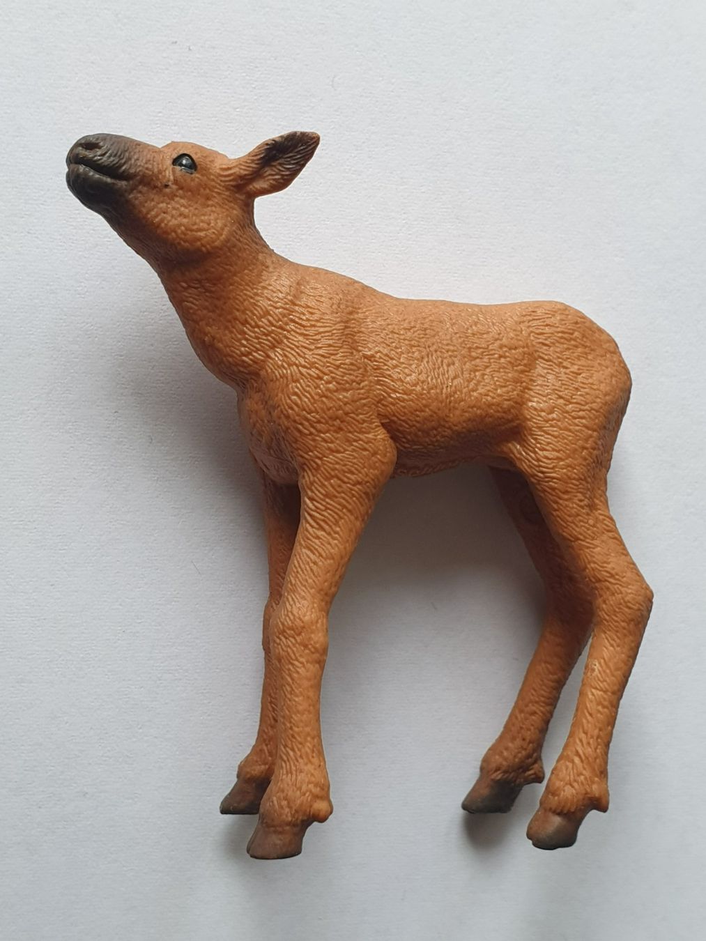 Schleich Statuette: Elch - Junges Tier Schleich – Nuovo (secondo la descrizione) da Mörschwil venduto da spirspi
