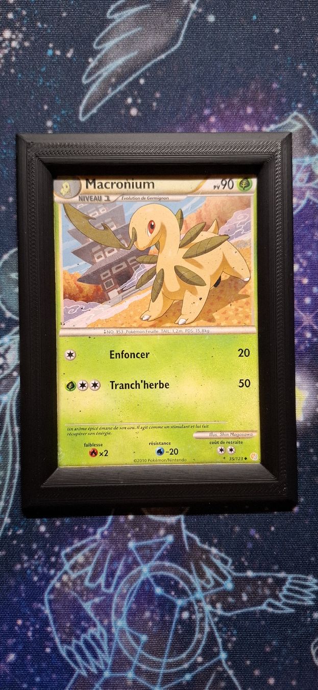 Pokémon Carte collezionabili: Macronium HeartGold & SoulSilver - 35/123 FR – Usato da Petit-Lancy venduto da Kara_TCG