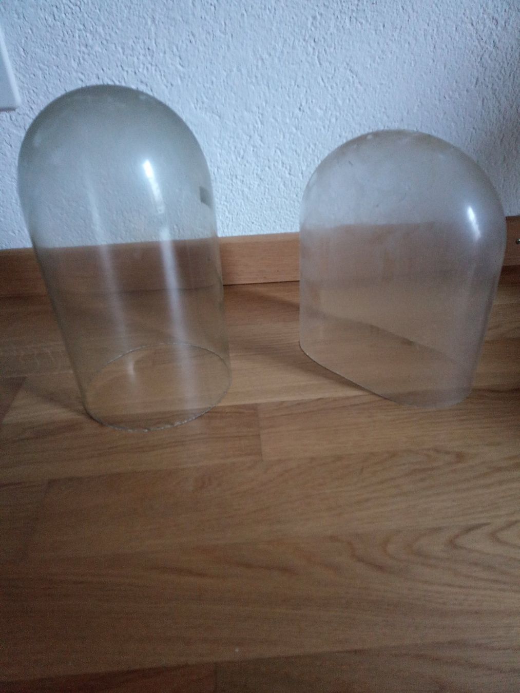 Orologi da terra & Orologi da parete: Antike Glasdome Glassturz – Usato da Zürich venduto da edi_c2m6