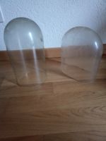 Antike Standuhren Glasdome Glassturz