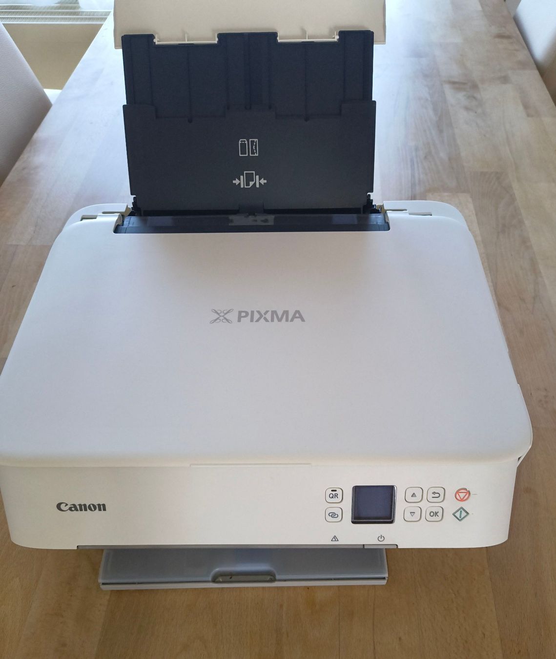 Canon Stampanti: Canon PIXMA TS5351i – Usato da Jona venduto da odloreg 5