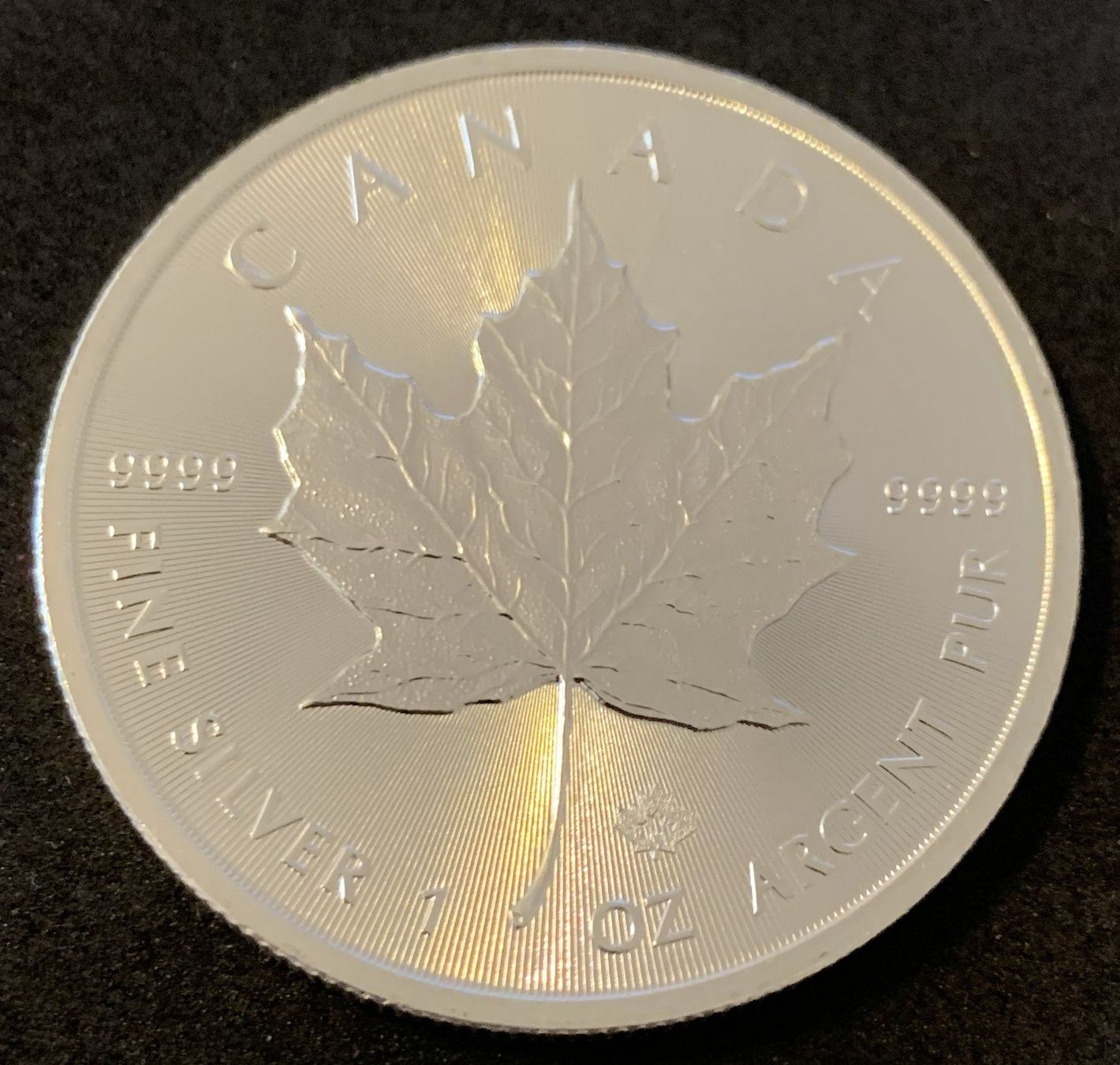 Alle Münzen: 1 Unze Fein Silber 999 Maple Leaf 2019 – Gebraucht aus Köniz von Habenix 2