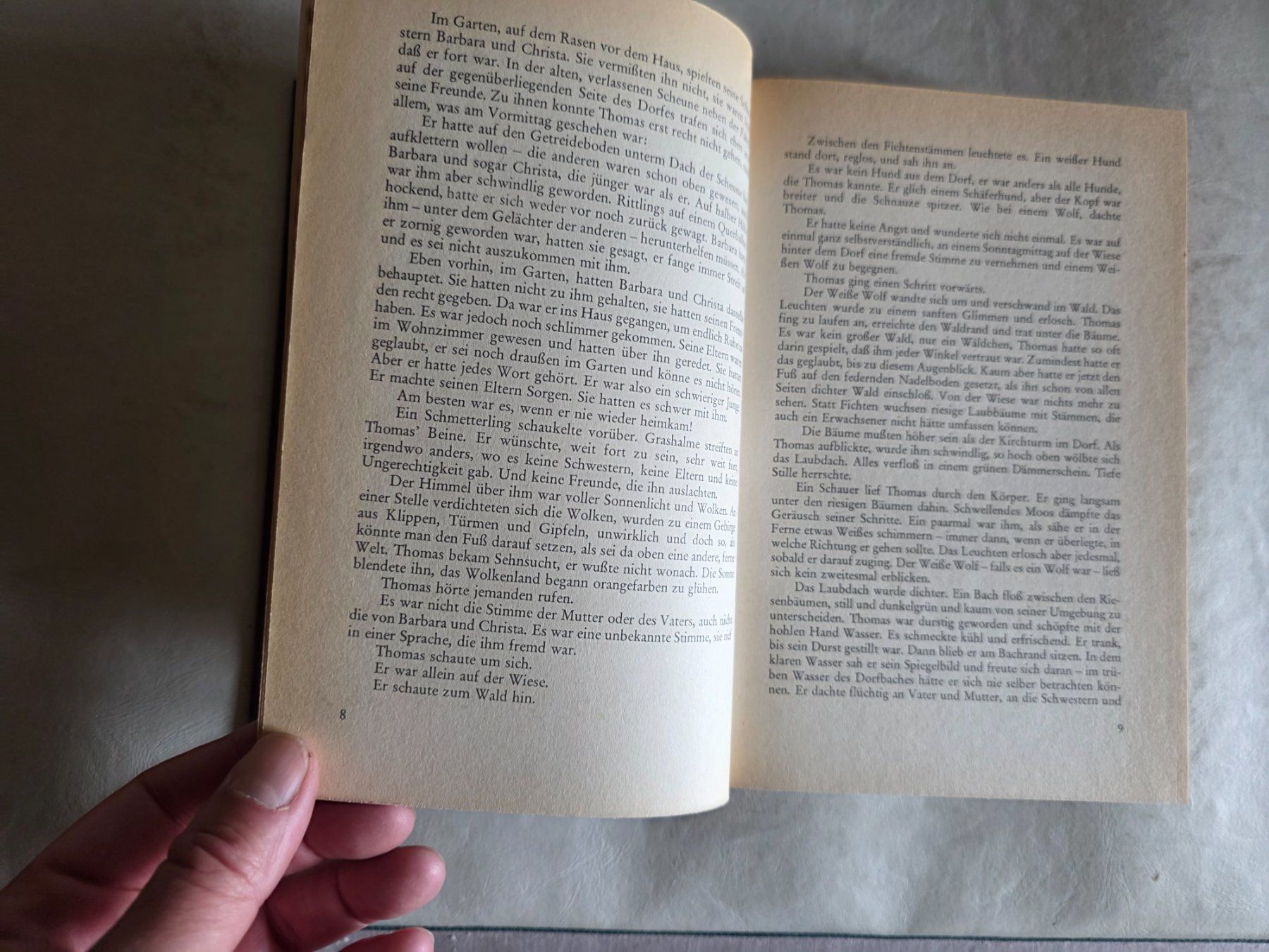 Libri: Käthe Recheis - Der weisse Wolf - 1986 – Usato da Walterswil BE venduto da Lonitti 5