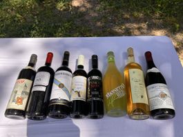 8 Flaschen Alkoholische Getränke (25)