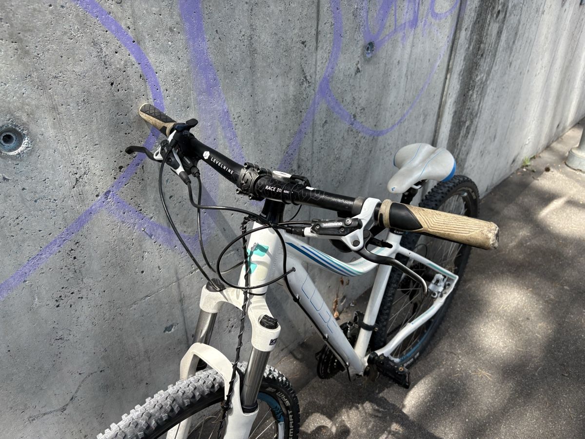 Cube Vélos: Cube Access Pro Damen MTB 29Zoll – D'occasion à Zürich par Sophie_Binz 1