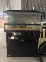 Terrarium mit Unterschrank schwarz und Zubehör