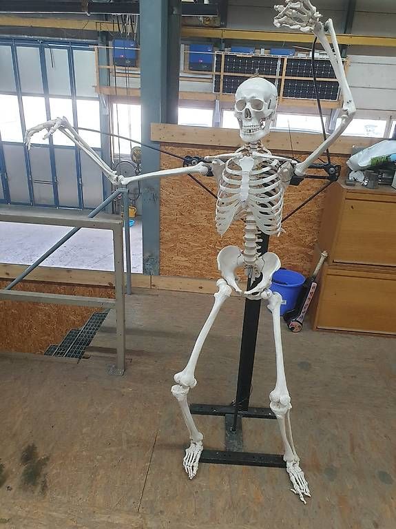 Tutte le decorazioni: Skelett Halloween – Usato da Grub AR venduto da motogeni