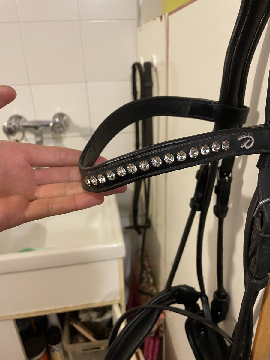 Briglie & Cavezze: DRESSAGE SNAFFLE BRIDLE DYON – Usato da Zürich venduto da Waikiki57 5