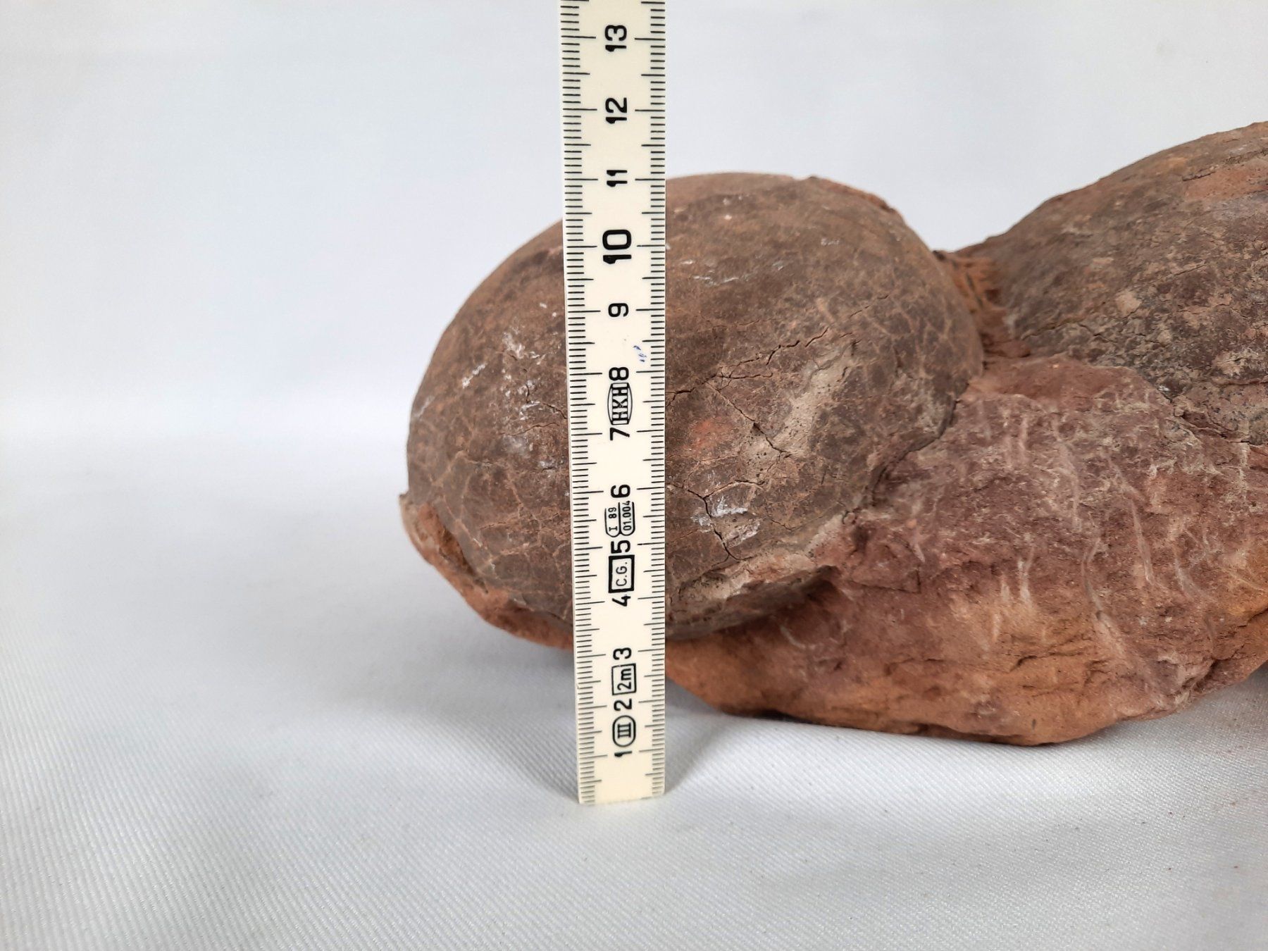 Fossiles: Versteinerte Dinosaurier Eier – D'occasion à Beinwil am See par Restwert_Beinwil 3