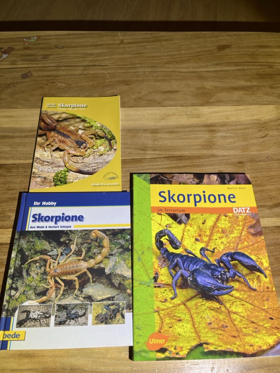 Libri: Skorpione – Usato da Siebnen venduto da Sweetrevenge