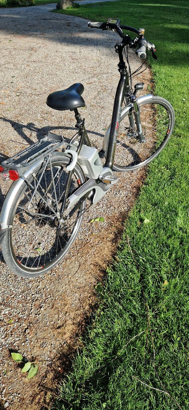 Flyer Biciclette: FLYER E-Bike  – Usato da Romanshorn venduto da fag_gnd6 3