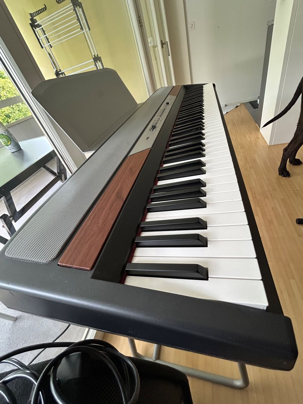 Korg Strumenti musicali: KORG Digital Piano - SP 250 – Usato da St . Gallen venduto da SD15 2