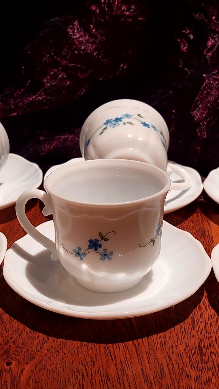 Set di piatti: Wunderschönes Vintage Arcopal Veronica Kaffeeset 6 – Usato da Dornach venduto da kar_c5sl 2