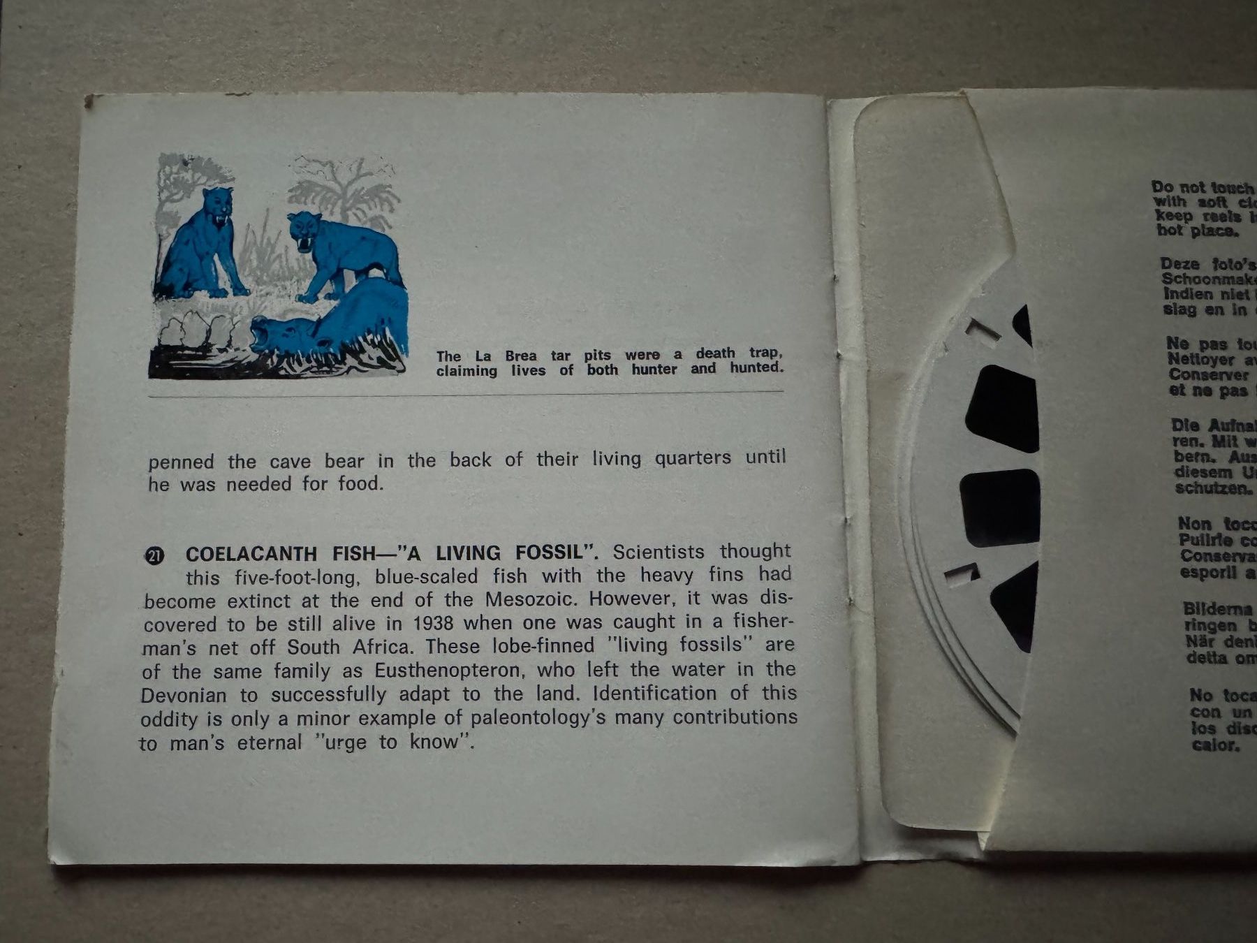 View-master Spielzeuge: View-Master 3D: Nr. B-676 PREHISTORIC LIFE – Gebraucht aus Tegerfelden von siebenmacky 3
