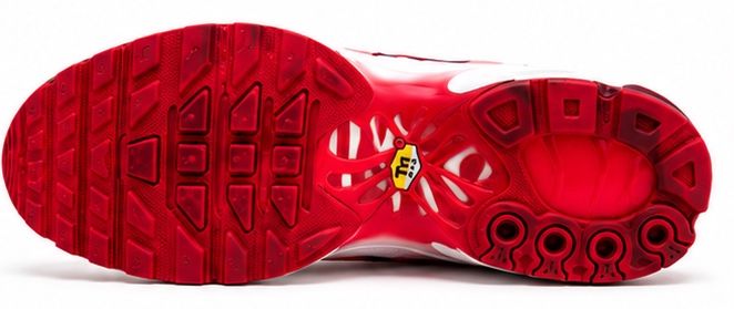 Nike Chaussures hommes: Nike Air Max TN – Neuf (Voir description) à Kriens par Asantos3 3