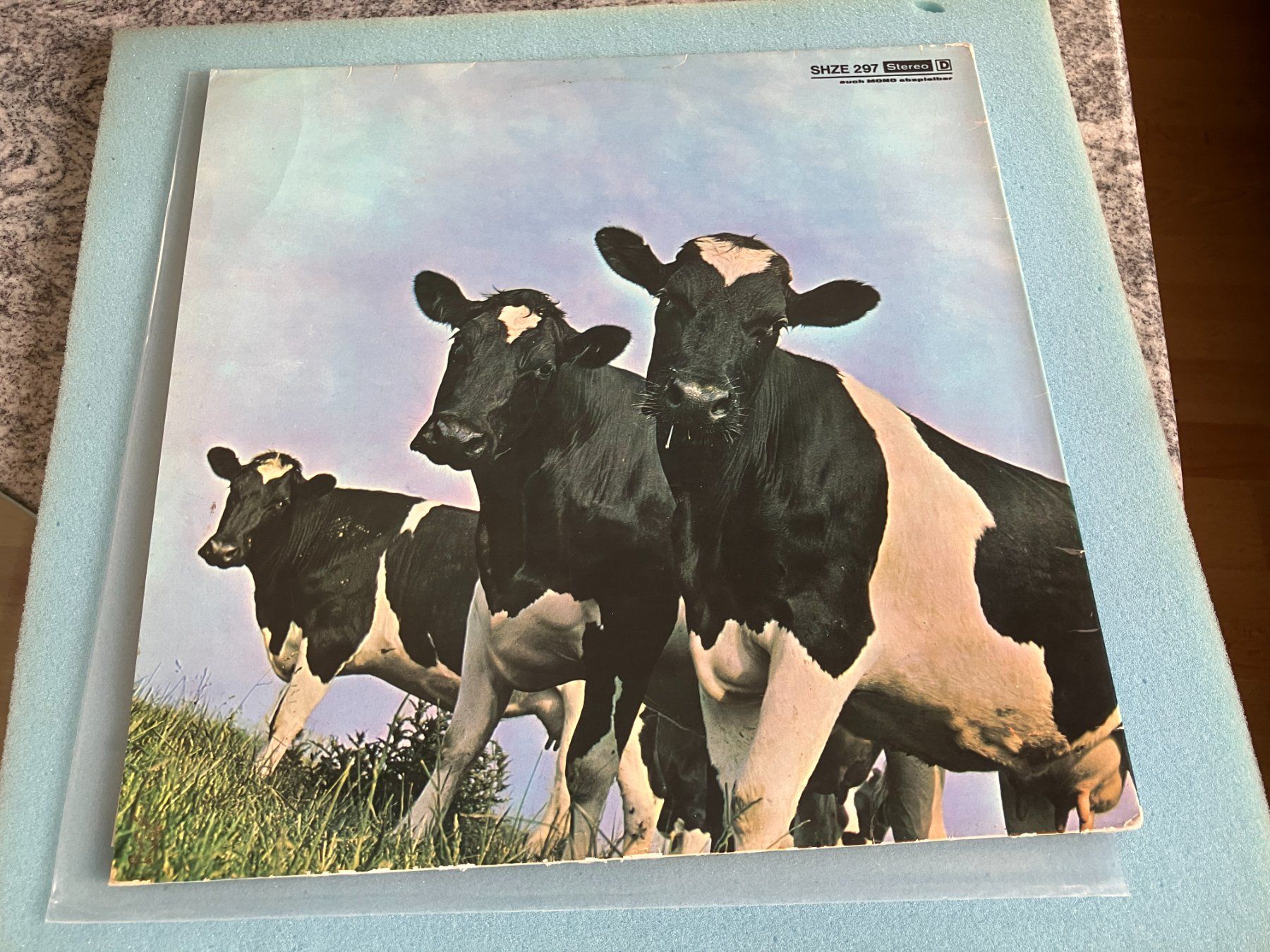 Dischi in vinile: Pink Floyd – Usato da Aarwangen venduto da Jukebox3 2