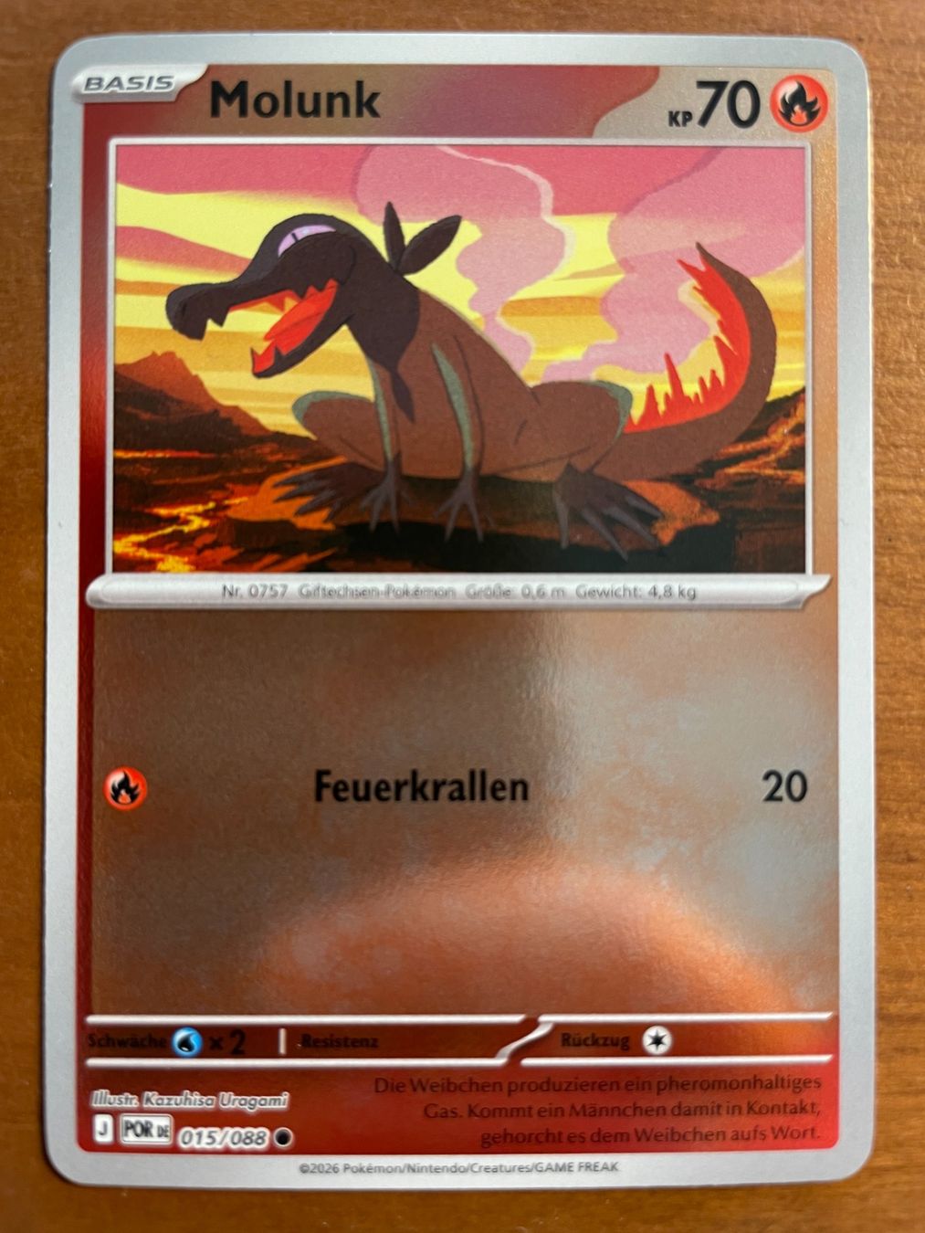 Pokémon Carte collezionabili: Pokemon Molunk Reverse (Versand gratis) – Nuovo (secondo la descrizione) da Chur venduto da Angerson