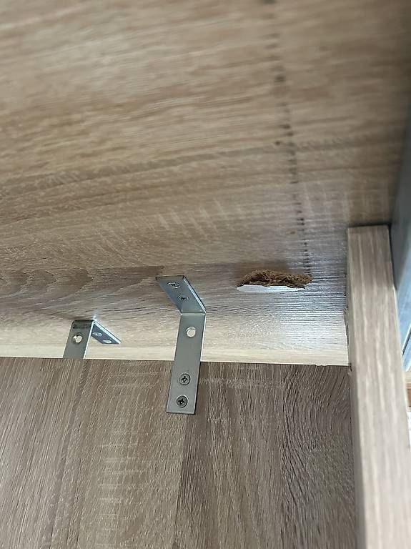 Tables: Esstisch (helle Holzoptik) – D'occasion à Neuenhof par shosh- 2