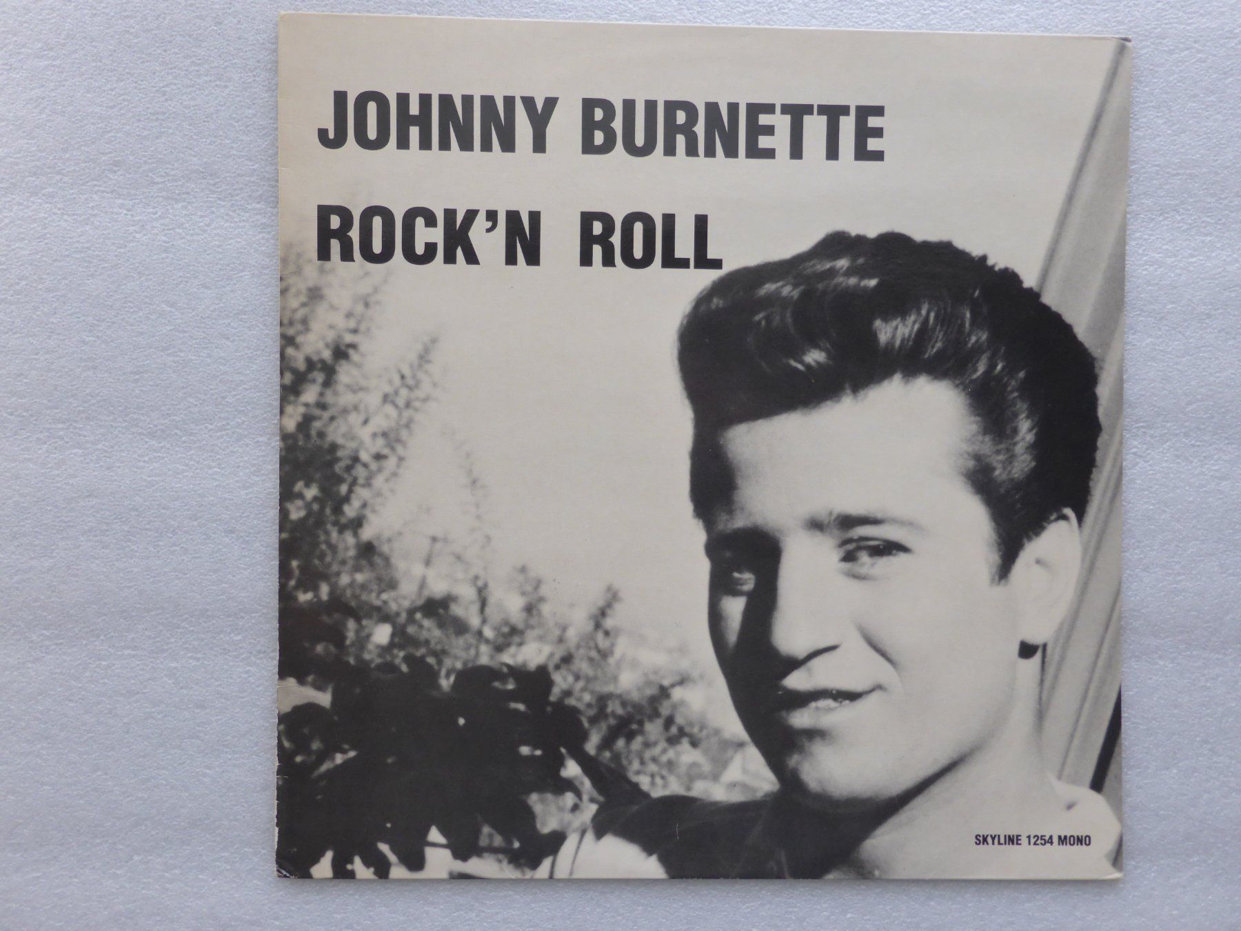 Dischi in vinile: VINYL  LP  JOHNNY BURNETTE – Usato da Küssnacht am Rigi venduto da Sunnestrahl