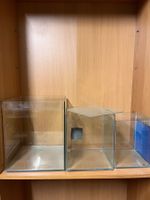 Drei Glasbecken Set Nano Cube gebraucht in gutem Zustand