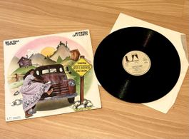 RARITÄT – Ike & Tina Turner „Nutbush City Limits“ (1973) ✨
