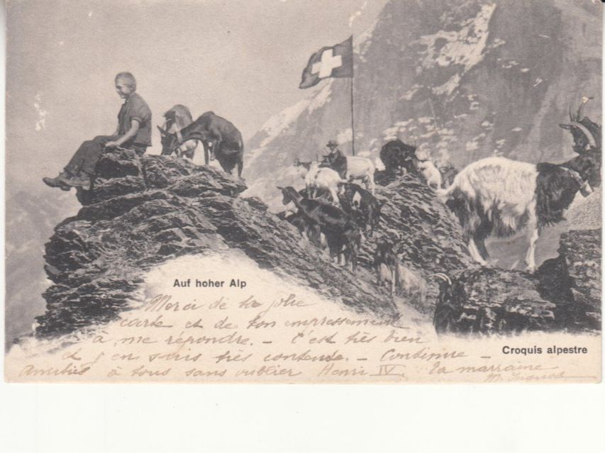 Ansichtskarten: Alp 1908 – Gebraucht aus Bürglen TG von StampGraf