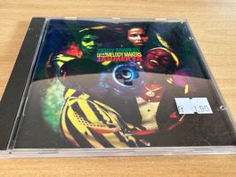 Ziggy Marley And The Melody Makers – Jahmekya