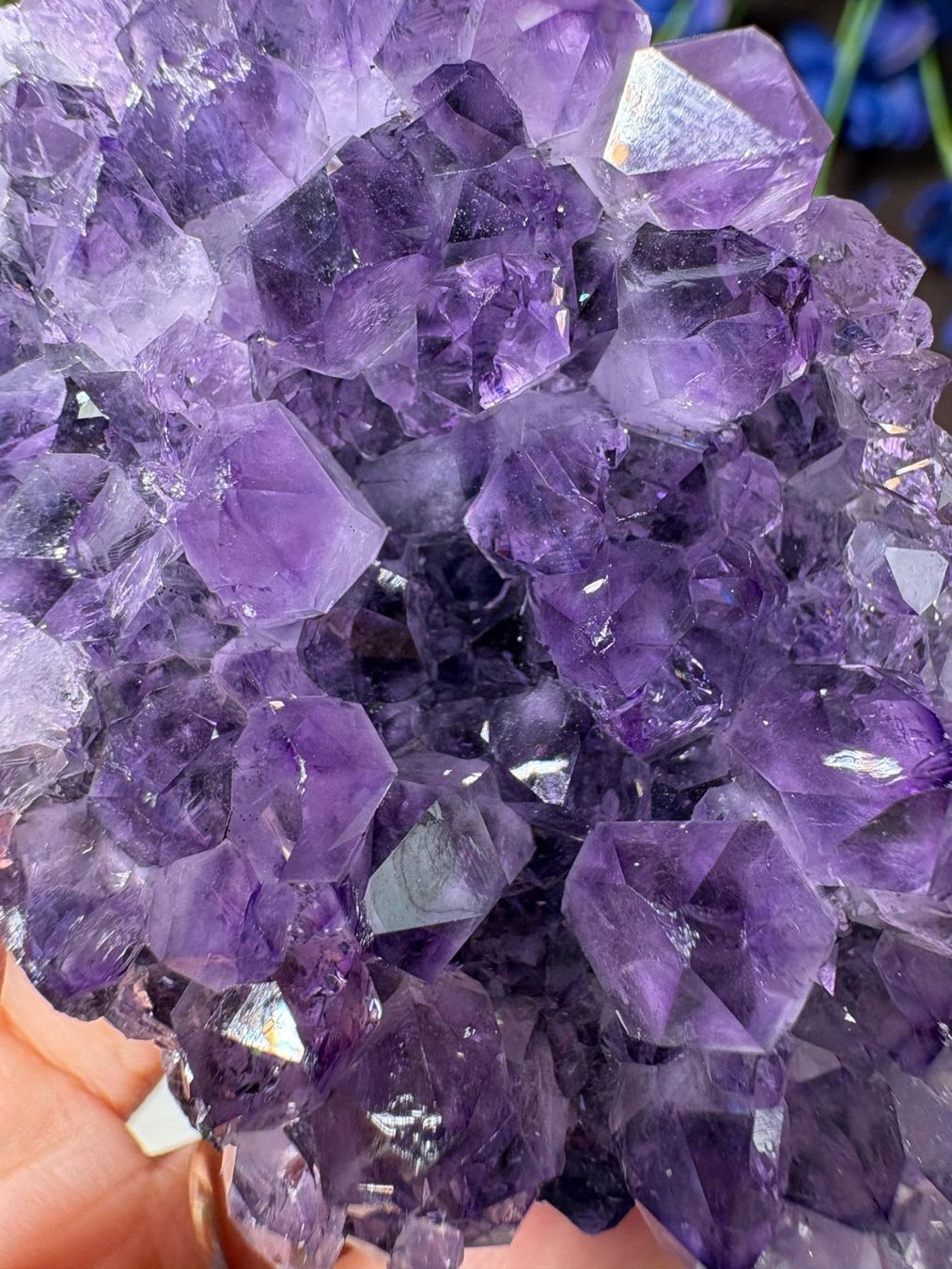 Edelsteine: Uruguay Amethyst – Super High Quality – Neu (gemäss Beschreibung) aus Neuheim von m.hald 1