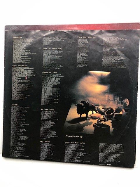 Dischi in vinile: Wall Of Voodoo – Usato da Aarwangen venduto da Jukebox3 5