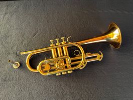 🔴  Holton Elkhorn Cornet  🔴