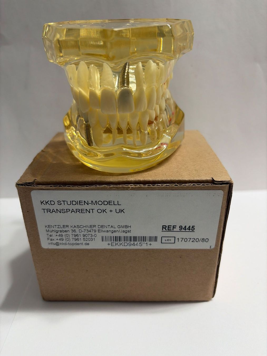Soins dentaires: KKD Studien Modell REF 9445 Zahnmodel – Neuf avec emballage d'origine à Uster par oranger_pulli 5
