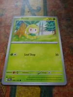 POKEMON  Petilil    H  JTG EN   006/159   HP50   2025